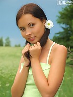 Unbelievable Angel with Chamomiles