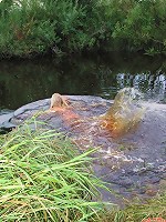 Young blonde turns down her red panties and relaxes on the riverside.