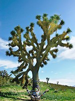 Filthy nasty teen buying candy gets convinced into bondage and hardcore fucking!