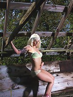 Lynn Dirty In The Green House