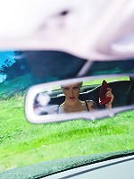 Lynns Got A Heel Fetish