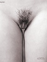 Morey Erotic Art - Yelena C2