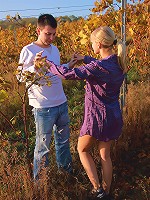 This blonde nympho had a secret for her lover. Underneath her dress, she wasn't wearing any panties and she wanted him to take advantage of the easy access even though they were outdoors.