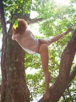 Redhead in a tree