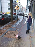 Dog walking lesbian teen sweeties