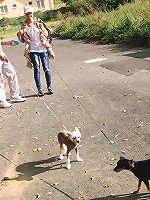 Lucky guy drilling a teen beauty