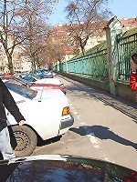 Cutie fucking and jerking pecker