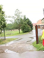 Brunette drilled by a solid cock