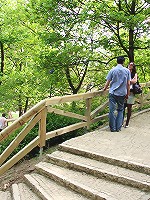 Old senior fucks chick in public