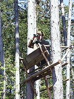 A senior is hunting for wet pussy