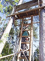 A senior is hunting for wet pussy