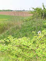 Construction worker fucking teen