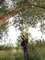 Old fart tries to hang himself up