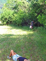 Tired blonde gets drilled asleep