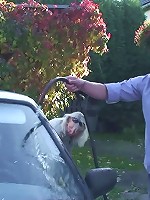 She gets worked up thinking about him inside her and he wants to fuck the mature slut hard