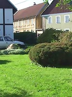 She washes the car and gets all wet and he comes along and fucks her sweet mature pussy