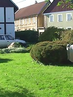 She climbs aboard his cock and takes him for a ride and her mature pussy looks fantastic