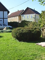 Fucking his hot mature mother in law and cumming when she strokes his big boner hard