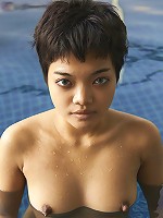 Purr View of Bangkok