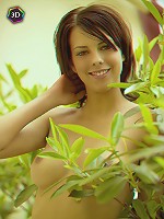 3D_MELLI - free gallery