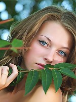 Tamara | Forest Beauty