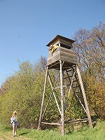 Teen fucks a stranger in a field