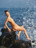 Fibby | Element spirit